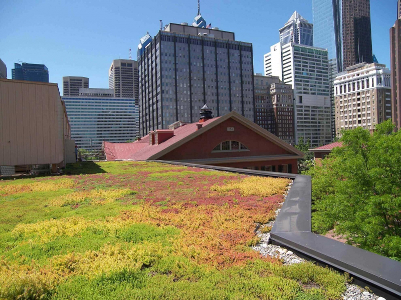 paysagiste-CALLIAN-min_green-roof-portfolio-4